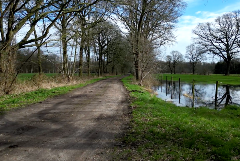 Scherm&shy;afbeelding 2024 11 18 om 11.49.22
